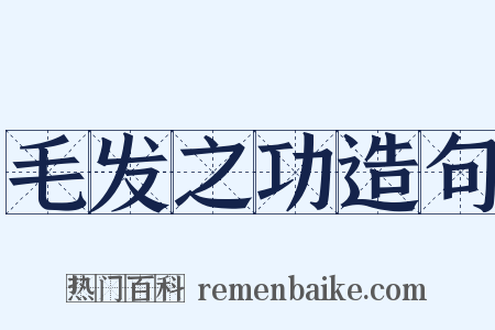 毛发之功造句是什么意思的图片